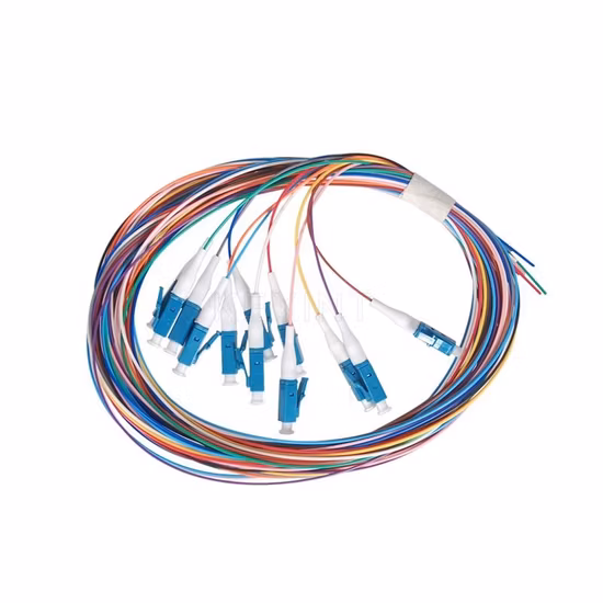 Multicore Bundle Distribution Patch Cord & Pigtail